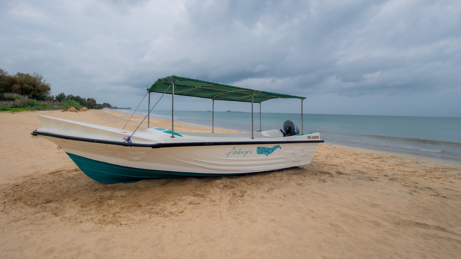 Beachfront hotel Nilaveli garden - High Park Hotel outdoor relaxation area